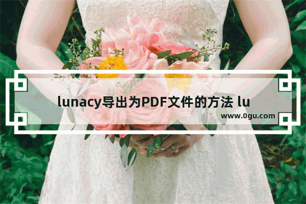 lunacy导出为PDF文件的方法 lunacy怎么导出为PDF文件