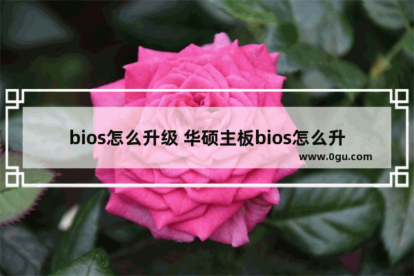 bios怎么升级 华硕主板bios怎么升级