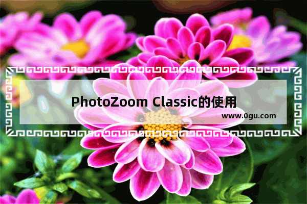 PhotoZoom Classic的使用方法 PhotoZoom Classic怎么放大图片