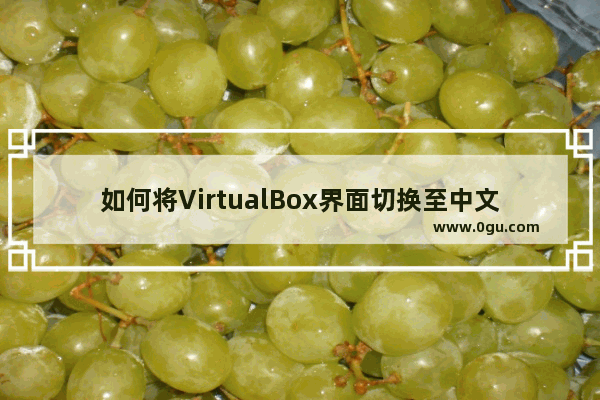 如何将VirtualBox界面切换至中文？中文设置指南