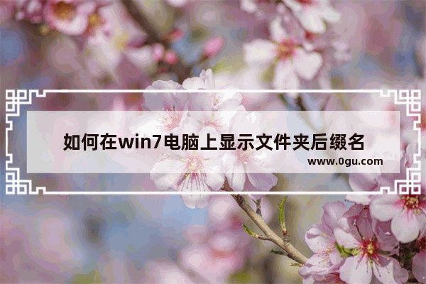 如何在win7电脑上显示文件夹后缀名