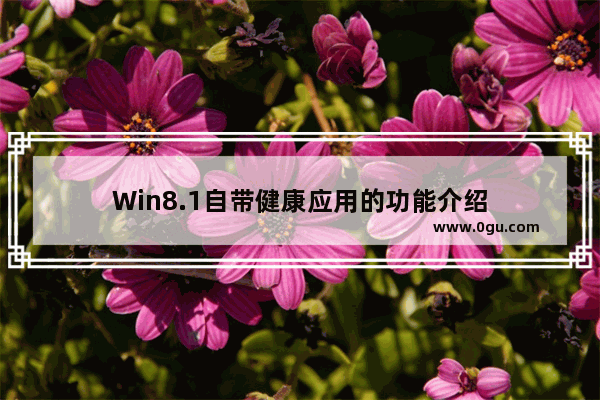 Win8.1自带健康应用的功能介绍