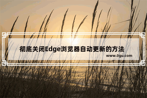 彻底关闭Edge浏览器自动更新的方法   如何完全禁用Edge浏览器的自动更新功能