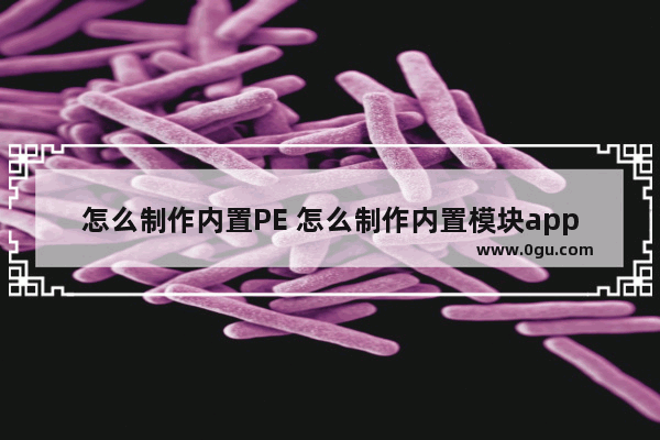 怎么制作内置PE 怎么制作内置模块app