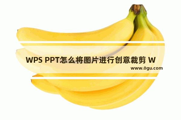 WPS PPT怎么将图片进行创意裁剪 WPS PPT将图片进行创意裁剪的方法