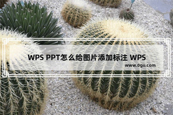 WPS PPT怎么给图片添加标注 WPS PPT给图片添加标注的方法