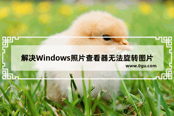 解决Windows照片查看器无法旋转图片的问题   windows照片查看器无法旋转图片什么原因