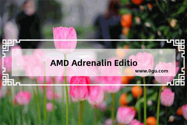 AMD Adrenalin Edition 23.2.2驱动发布：新版本更新内容一览