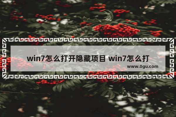 win7怎么打开隐藏项目 win7怎么打开隐藏项目文件夹