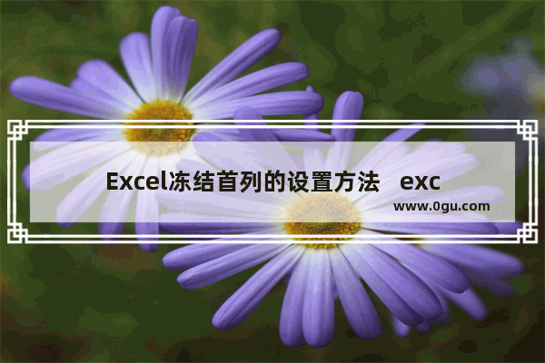 Excel冻结首列的设置方法   excel冻结首列怎么设置