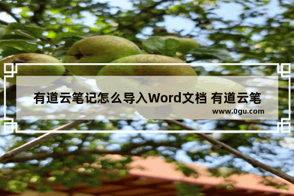 有道云笔记怎么导入Word文档 有道云笔记导入Word文档的方法