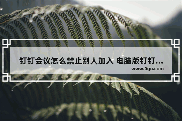 钉钉会议怎么禁止别人加入 电脑版钉钉会议开启锁定会议功能的方法