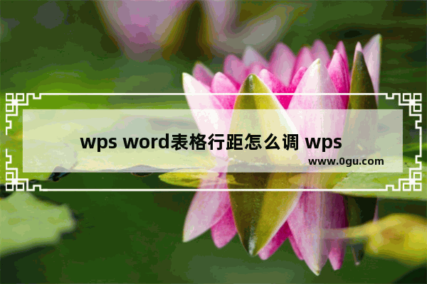 wps word表格行距怎么调 wps word表格行距调整方法