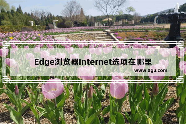 Edge浏览器Internet选项在哪里设置？详细步骤教你！