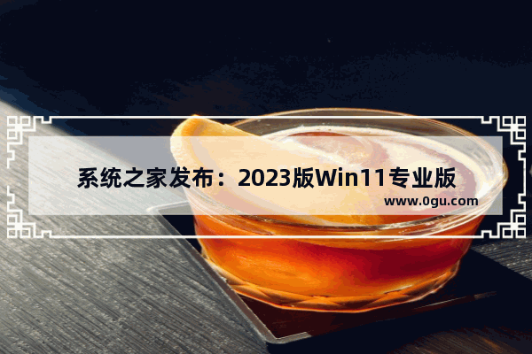 系统之家发布：2023版Win11专业版激活指南