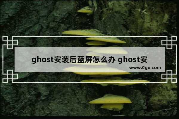 ghost安装后蓝屏怎么办 ghost安装win7蓝屏