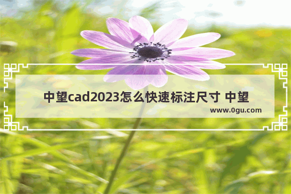 中望cad2023怎么快速标注尺寸 中望CAD快速标注尺寸的方法