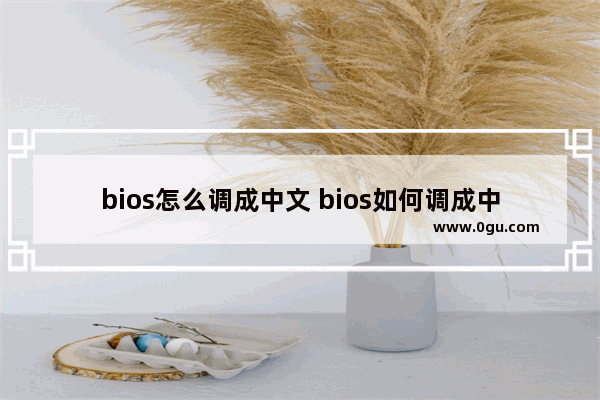 bios怎么调成中文 bios如何调成中文