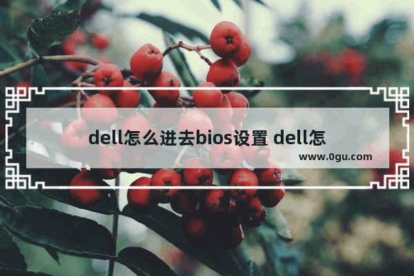 dell怎么进去bios设置 dell怎么进入bios设置