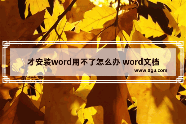 才安装word用不了怎么办 word文档安装不了怎么办