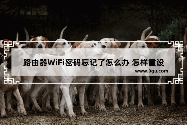 路由器WiFi密码忘记了怎么办 怎样重设WiFi密码