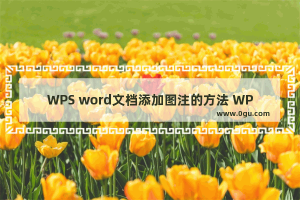 WPS word文档添加图注的方法 WPS word文档如何添加图注