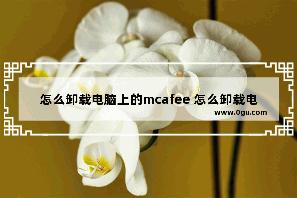 怎么卸载电脑上的mcafee 怎么卸载电脑上的flash插件