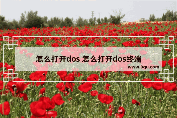 怎么打开dos 怎么打开dos终端