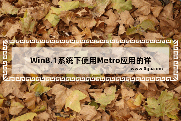 Win8.1系统下使用Metro应用的详细指南