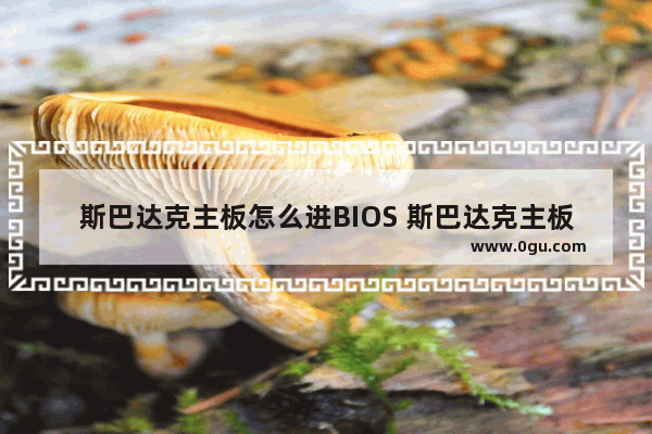 斯巴达克主板怎么进BIOS 斯巴达克主板设置u盘启动