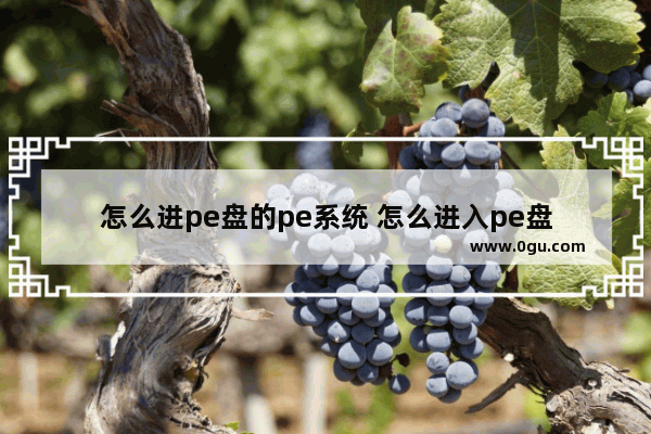 怎么进pe盘的pe系统 怎么进入pe盘