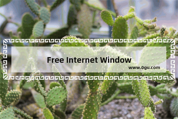 Free Internet Window Washer怎么使用 Free Internet Window Washer的使用方法