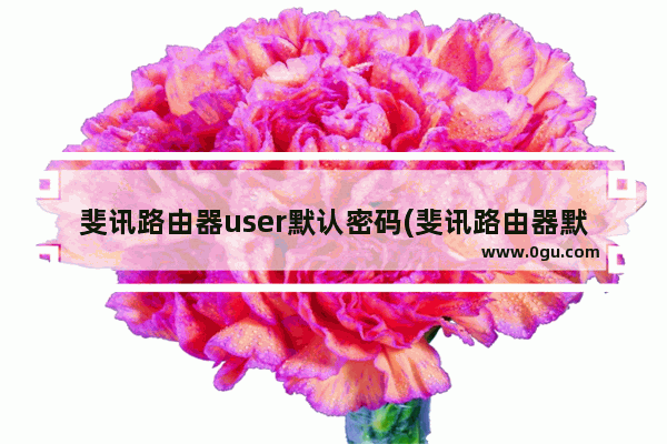 斐讯路由器user默认密码(斐讯路由器默认账号密码)