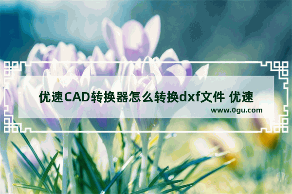 优速CAD转换器怎么转换dxf文件 优速CAD转换器转换dxf文件的方法