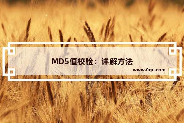 MD5值校验：详解方法