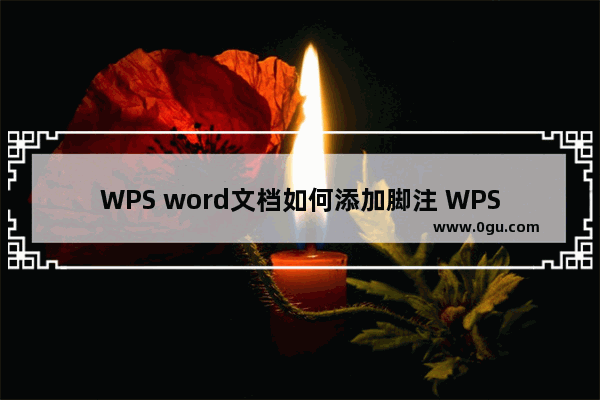 WPS word文档如何添加脚注 WPS word文档添加脚注的方法