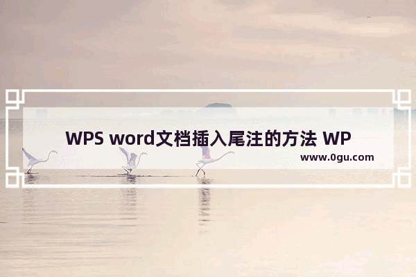 WPS word文档插入尾注的方法 WPS word文档如何插入尾注