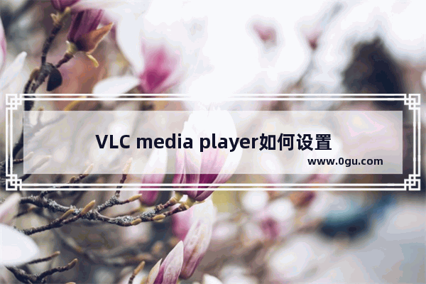 VLC media player如何设置记忆播放