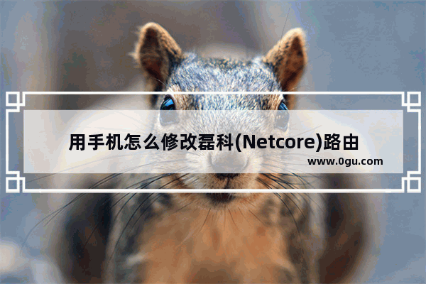 用手机怎么修改磊科(Netcore)路由器无线wifi密码？(如何用手机修改Netcore路由器的无线wifi密码？)