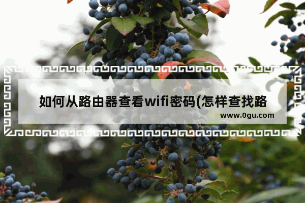 如何从路由器查看wifi密码(怎样查找路由器wifi密码)