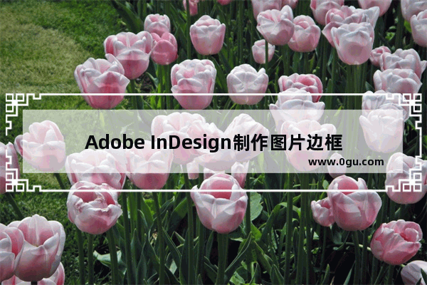 Adobe InDesign制作图片边框的方法 Adobe InDesign怎么制作图片边框