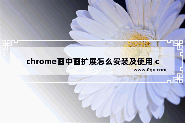 chrome画中画扩展怎么安装及使用 chrome画中画扩展的安装及使用方法