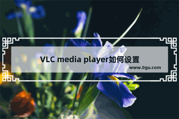 VLC media player如何设置热键