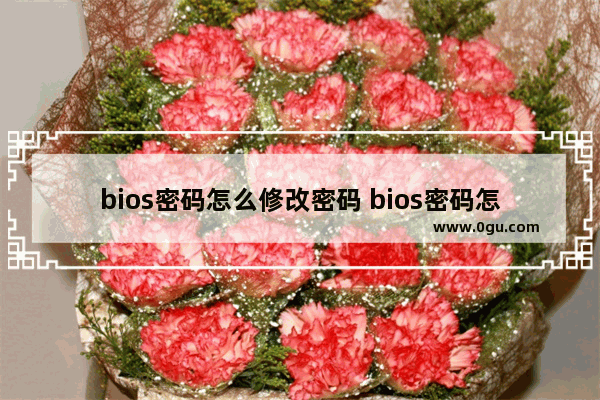 bios密码怎么修改密码 bios密码怎么修改密码教程