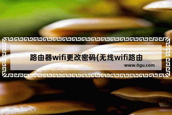 路由器wifi更改密码(无线wifi路由器怎么修改密码)