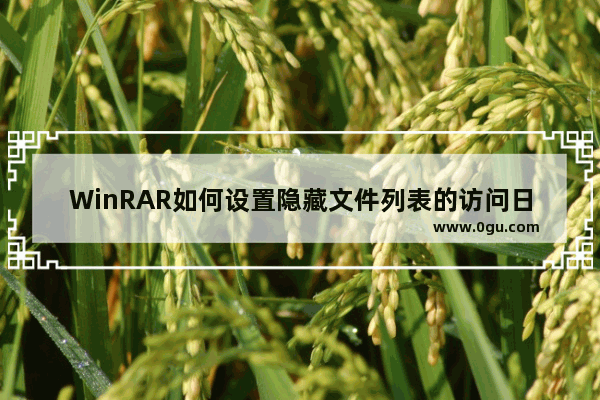 WinRAR如何设置隐藏文件列表的访问日期列