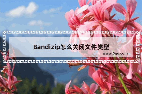 Bandizip怎么关闭文件类型