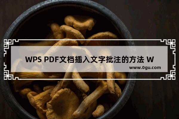 WPS PDF文档插入文字批注的方法 WPS PDF文档如何插入文字批注