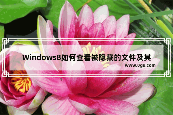 Windows8如何查看被隐藏的文件及其位置