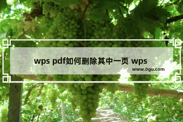 wps pdf如何删除其中一页 wps pdf删除其中一页的方法